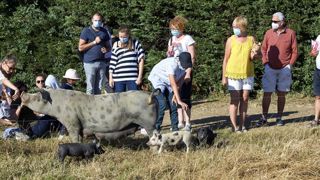 Un tour de France des exploitations agricoles sur deux mois Un tour de France des exploitations agricoles sur deux mois