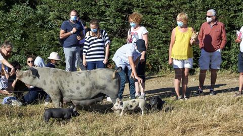Un tour de France des exploitations agricoles sur deux mois Un tour de France des exploitations agricoles sur deux mois