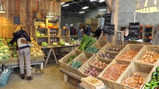 Le marché des légumes bio est « à surveiller comme le lait sur le feu » Le marché des légumes bio est « à surveiller comme le lait sur le feu »