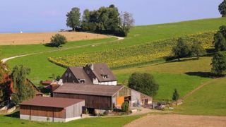 La Suisse vise une agriculture plus verte et souveraine en 2050 La Suisse vise une agriculture plus verte et souveraine en 2050