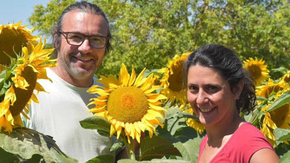 Ils redonnent vie à une ferme en déclin