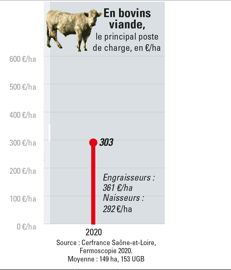 Les charges de mécanisation (en €/ha)  représentent 30 à 50 % du coût de production, avec de grands écarts entre exploitations. Elles  comprennent les coûts directs (amortissement, entretien, carburants, lubriﬁant, frais ﬁnanciers (Cuma, entreprise) et la main-d’œuvre directe (entretien du matériel, conduite). © GFA