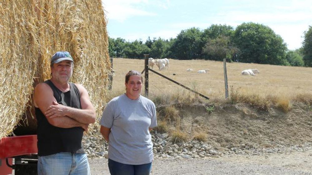 SécheresseLes élevages ont soif