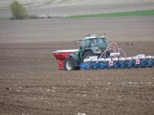 Faites le bon choix pour vos semis de tournesol.