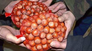 Les producteurs de noisettes sont en colère Les producteurs de noisettes sont en colère
