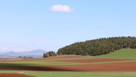 L’AOP lentille verte du Puy cherche des producteurs L’AOP lentille verte du Puy cherche des producteurs