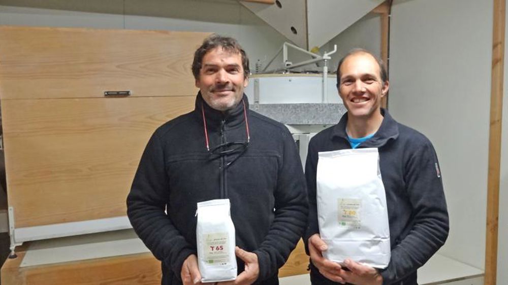 Ils créent leurs farines locales à base de blés anciens