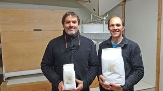 Ils créent leurs farines locales à base de blés anciens Ils créent leurs farines locales à base de blés anciens