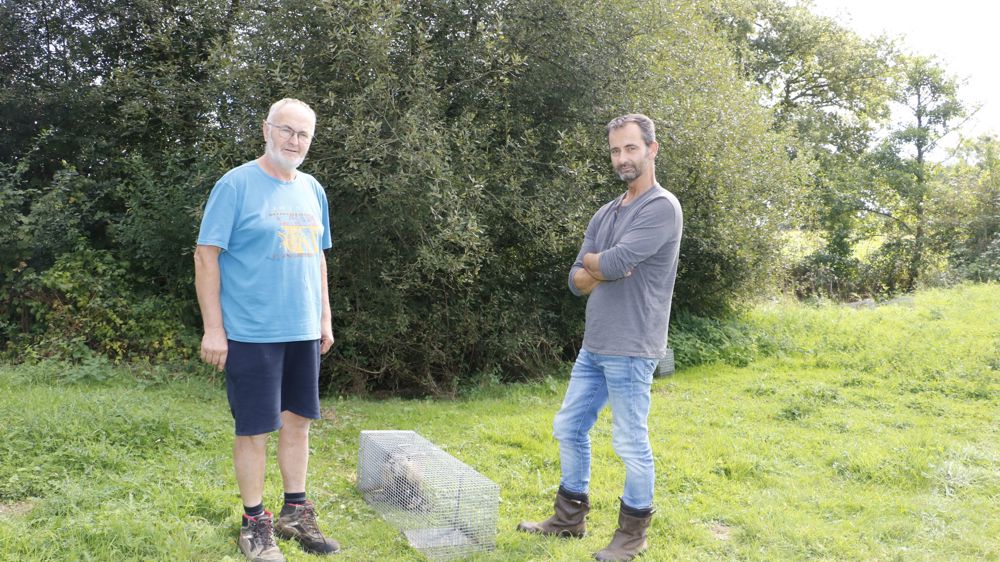 Réorganiser la lutte contre le ragondin