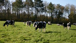 Les exportations plombées par le Brexit Les exportations plombées par le Brexit