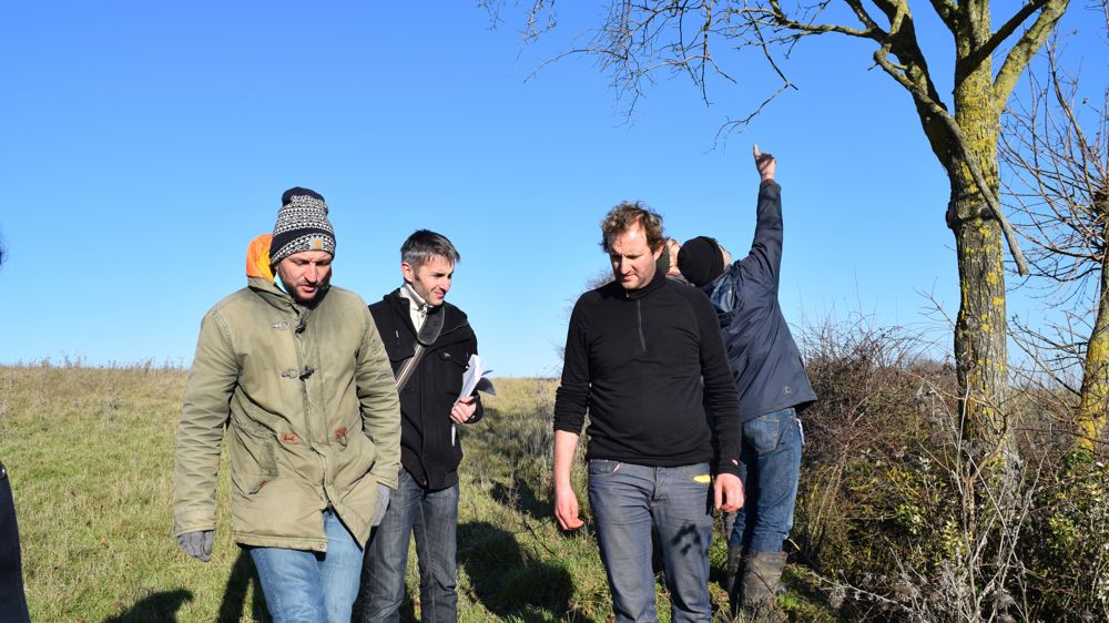 Développer l’usage de l’arbre fourrager