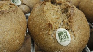 Blé La meunerie bio veut du grain français à moudre Blé La meunerie bio veut du grain français à moudre