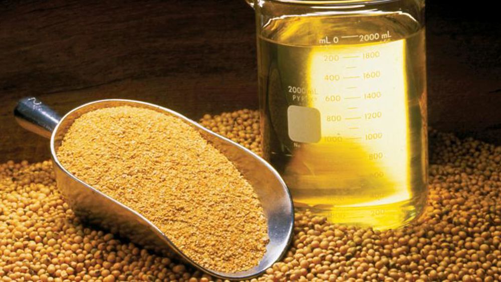 Un marché plutôt stable en soja