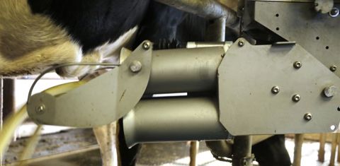 … La stimulation de la mamelle peut être désactivée d’un clic sur l’écran du poste concerné. (voir la photo ci-avant) © G. Baron