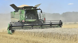 Selon les chiffres du Copa-Cogeca, la production européenne de céréales serait en baisse de 6,8 % sur un an. Selon les chiffres du Copa-Cogeca, la production européenne de céréales serait en baisse de 6,8 % sur un an.