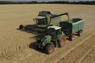 Chantier de récolte de céréales en Fendt