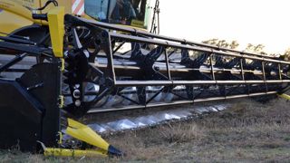 Une coupe pour les légumineuses Une coupe pour les légumineuses