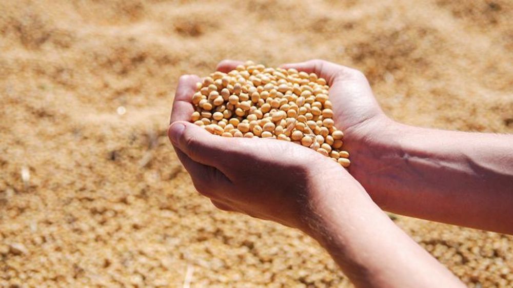 La Conf’ déplore un « vote passéiste » du groupe agriculture du Cese