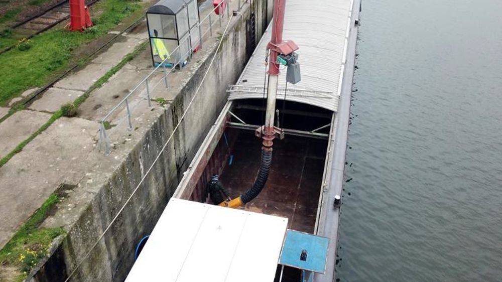 L’euro pèse sur les prix du blé