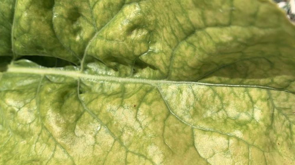 Pour la filière, « le temps est compté ! »