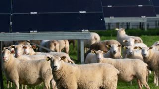 Agriculture et photovoltaïque « main dans la main » à Marseille Agriculture et photovoltaïque « main dans la main » à Marseille
