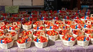 Une récolte de fraises en légère hausse Une récolte de fraises en légère hausse