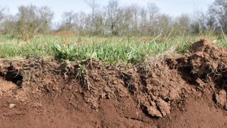 France Carbone Agri va lancer son troisième appel à projets France Carbone Agri va lancer son troisième appel à projets