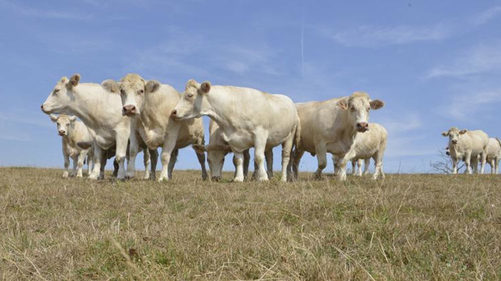 Les usages de l’eau restreints dans 53 départements