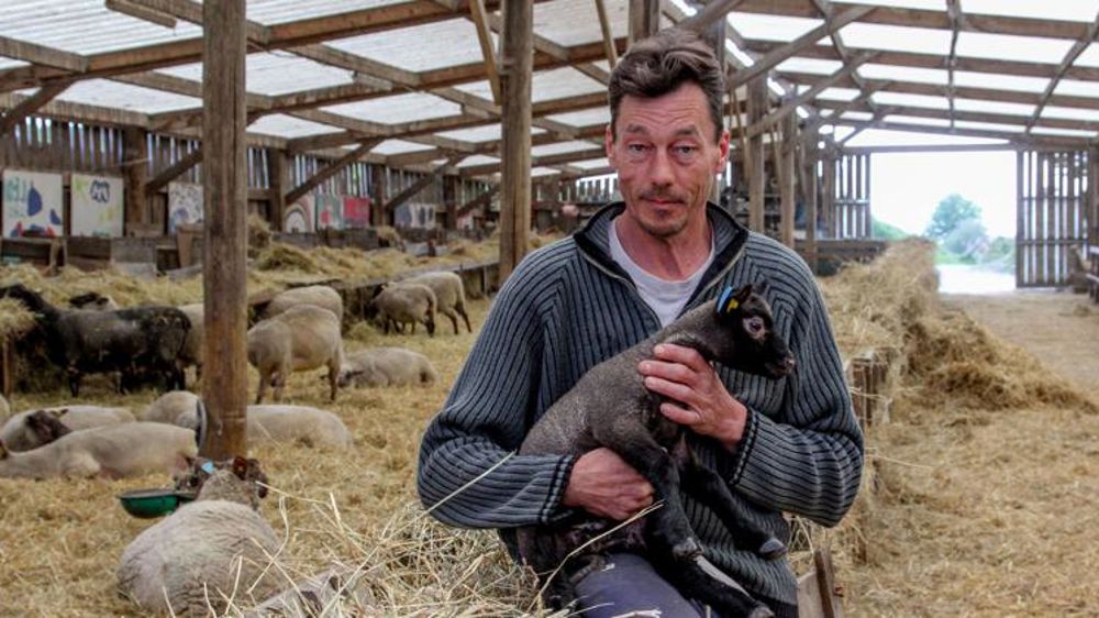 Il défend sa bergerie face au Mont-Saint-Michel