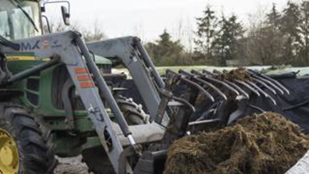 Entre récoltes et semis