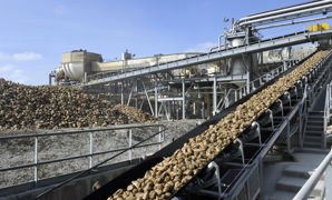 Cristal Union lance la campagne betteravière en 2022 une semaine plus tôt qu'habituellement. La campagne se terminera avant la fin de décembre, à l'exception du site de Fontaine-le-Dun (Seine-Maritime). Cristal Union lance la campagne betteravière en 2022 une semaine plus tôt qu'habituellement. La campagne se terminera avant la fin de décembre, à l'exception du site de Fontaine-le-Dun (Seine-Maritime).