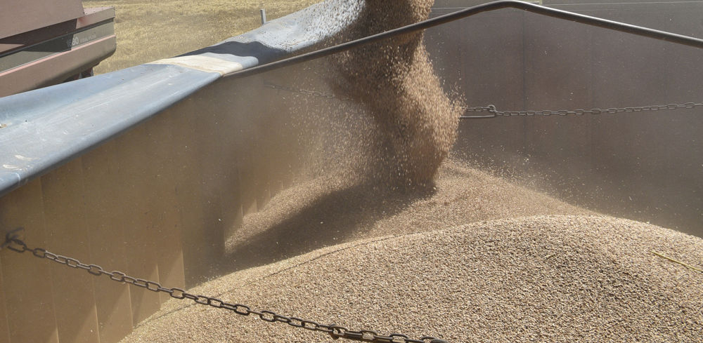 Sur les quelque 58 millions de tonnes en capacité de stockage en Ukraine, les Russes ont pris le contrôle de 6,24 millions et 2,25 millions ont été détruits.