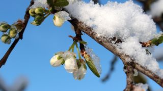 Dès 2023, la solidarité nationale interviendrait dès 30 % de pertes en arboriculture. Dès 2023, la solidarité nationale interviendrait dès 30 % de pertes en arboriculture.