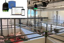 Médaille d’or pour Boehringer Ingelheim Vetmedica avec SoundTalks, une solution de détection des maladies respiratoires chez les porcs en postsevrage et en engraissement.SoundTalks analyse en permanence le statut respiratoire des porcs grâce à des capteurs installés au-dessus des cases. Chaque unité comprend six microphones qui enregistrent tous les bruits dans la case et sont capables d’isoler les toux des autres bruits grâce à un algorithme et à de l’intelligence artificielle. Comme le disposi Médaille d’or pour Boehringer Ingelheim Vetmedica avec SoundTalks, une solution de détection des maladies respiratoires chez les porcs en postsevrage et en engraissement.SoundTalks analyse en permanence le statut respiratoire des porcs grâce à des capteurs installés au-dessus des cases. Chaque unité comprend six microphones qui enregistrent tous les bruits dans la case et sont capables d’isoler les toux des autres bruits grâce à un algorithme et à de l’intelligence artificielle. Comme le disposi