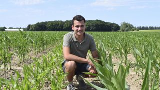 « Les variétés de cette année ont des dates de floraison proches, autour de 78 jours », note Jérôme Hervé, concernant ses maïs semences. « Les variétés de cette année ont des dates de floraison proches, autour de 78 jours », note Jérôme Hervé, concernant ses maïs semences.