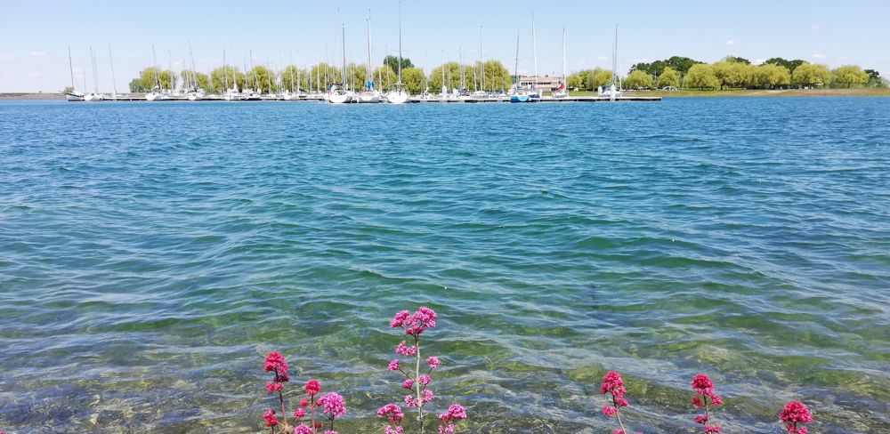 Proche de Saint-Dizier, le lac du Der-Chantecoq est l'une des plus grandes étendues d’eau artificielles d'Europe avec ses 80 km de rives.