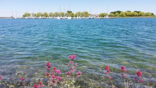 Proche de Saint-Dizier, le lac du Der-Chantecoq est l'une des plus grandes étendues d’eau artificielles d'Europe avec ses 80 km de rives. Proche de Saint-Dizier, le lac du Der-Chantecoq est l'une des plus grandes étendues d’eau artificielles d'Europe avec ses 80 km de rives.