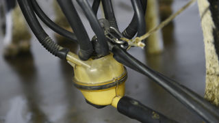La section laitière de la FRSEAO estime que le conseil d'administration de Sodiaal fixe un prix du lait sans tenir compte de la loi Egalim 2. La section laitière de la FRSEAO estime que le conseil d'administration de Sodiaal fixe un prix du lait sans tenir compte de la loi Egalim 2.