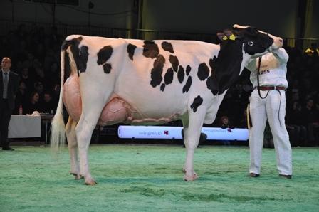 Beauty Swiss Expo