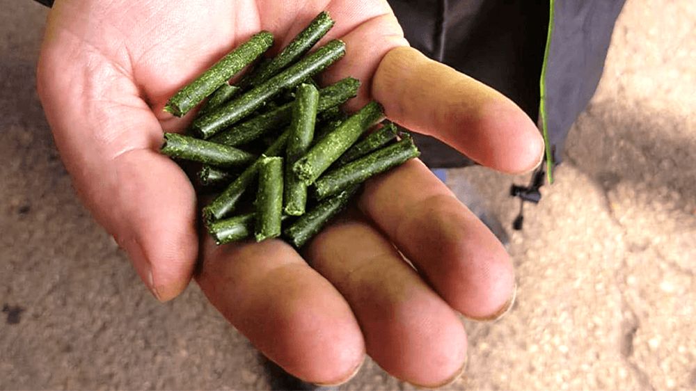 Désialis suspend ses ventes de pellets de luzerne standards