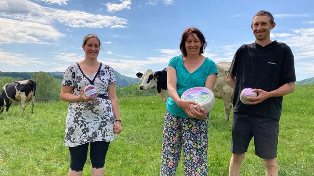 Des fourmes affinées à la ferme