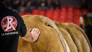 Le Covid n’a pas pénalisé les signes de qualité Le Covid n’a pas pénalisé les signes de qualité