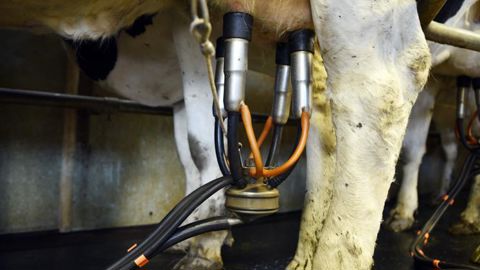 Les négociations « tendues » inquiètent la coopération laitière Les négociations « tendues » inquiètent la coopération laitière