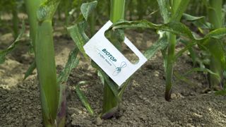 Faire de la France « le leader mondial du biocontrôle » Faire de la France « le leader mondial du biocontrôle »