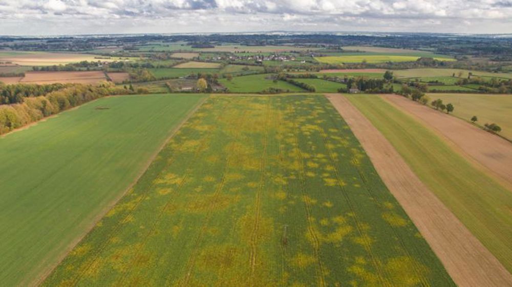 La CGB « accueille favorablement » l’arrêté néonicotinoïdes