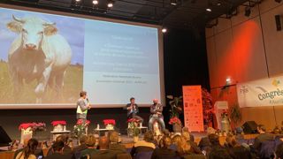 La loi Egalim 2 est « la dernière chance pour l’élevage allaitant » La loi Egalim 2 est « la dernière chance pour l’élevage allaitant »