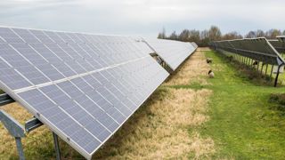 Des préconisations pour l’agrivoltaïsme Des préconisations pour l’agrivoltaïsme