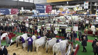 Ce que Macron va défendre au Salon de l’agriculture Ce que Macron va défendre au Salon de l’agriculture
