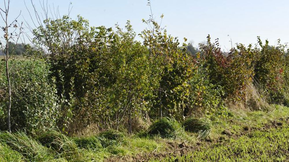 Un nouvel outil pour mesurer son impact sur la biodiversité