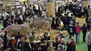 Plus de 500 000 visiteurs au Salon de l’agriculture Plus de 500 000 visiteurs au Salon de l’agriculture